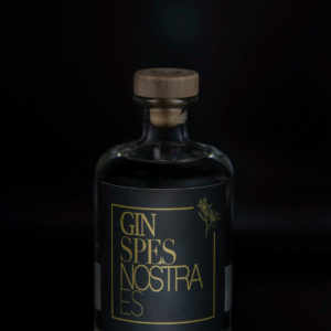 Gin Flasche